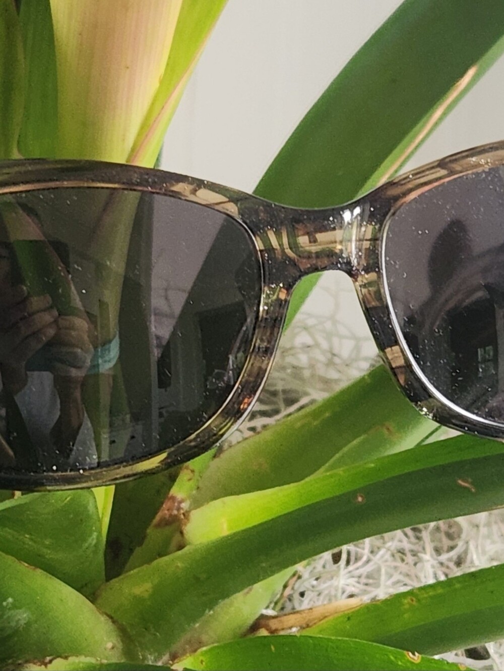 Barton Perreira Sunglasses Style called Demure - Picture 10 of 12